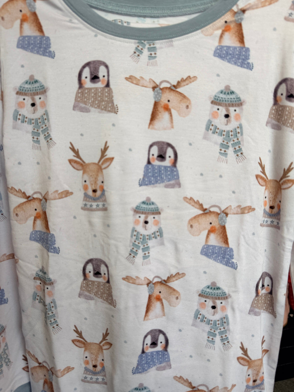 Winter Animals